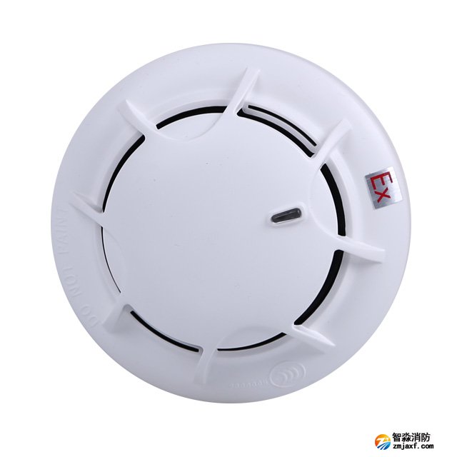 ��������JTY-GF-GST9711(Ex)�c(di��n)�͹�늸П����(z��i)̽�y(c��)��